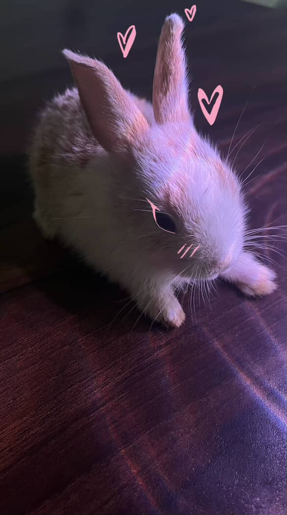 Peanu
