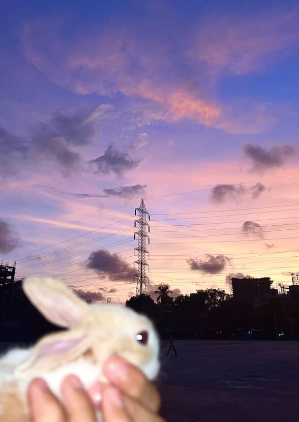 peanu3